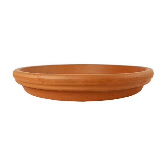 Saucer Planter, Standard - 6