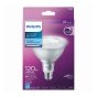 Ampoule, DEL, variable, givré, blanc chaud, E26, 8 W-60 W