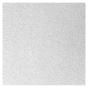 Ceiling Panel - 2' x 2' - White - 16/Pkg