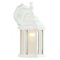 Outdoor Wall Light - 6.25" x 12" x 8"