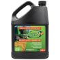 15W40 Heavy Duty Engine Oil