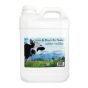 Insecticide - Bugwacker, 10 l