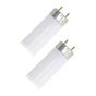 Tube fluorescent, T8, 32 W, 48", blanc froid, 2/pqt