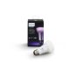 Ampoule DEL intelligente Bluetooth Hue A19, blanc et multicolore, 9,5 W