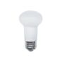 LED Lightbulb - R16 - Soft White - 5.5 W