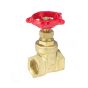 Valve gate fpt brass