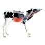 Trusti Tuber calf feeder