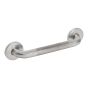 Security grab bar