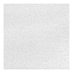 Ceiling Panel - 2' x 4' - 8/Pkg - Covers 64 sq. ft.