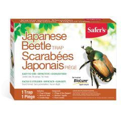 Piège pour scarabée japonais