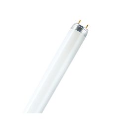Fluorescent Tube - Cool White - 48" - T8 - 32 W