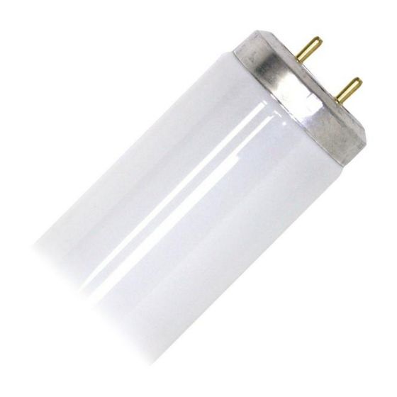 Fluorescent tube - T12 - Daylight - 20 W - 24"