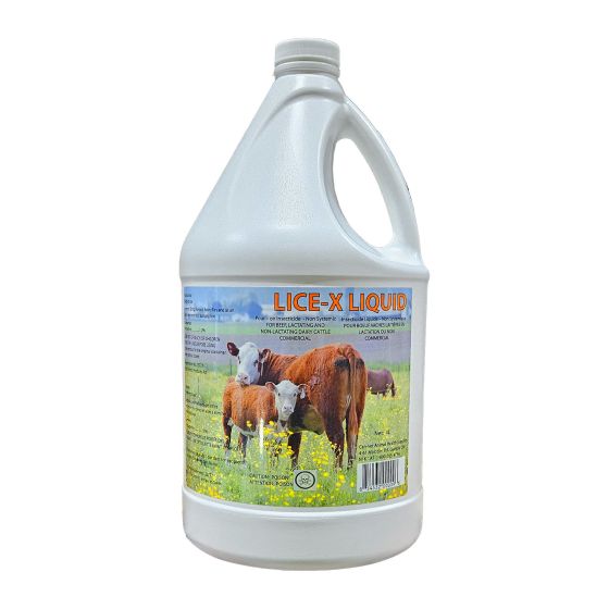 Insecticide, Lice X, 4 l