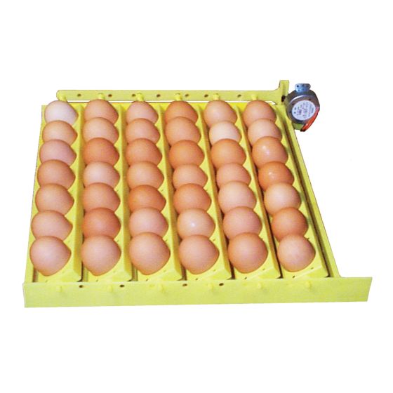 Automatic egg turner