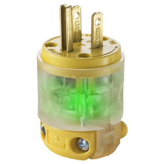 Lighted plug