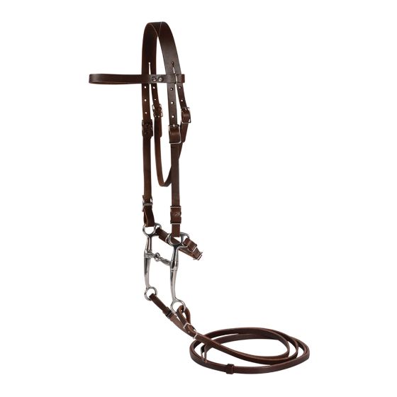 Pony bridle