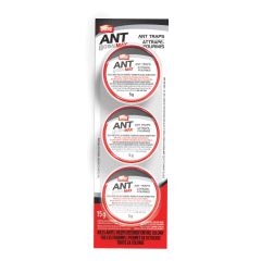 Ant Trap - 3/Pkg