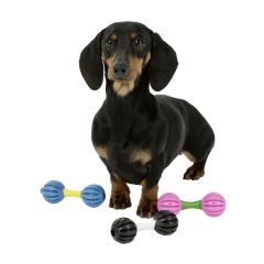 Alternating toy for dog