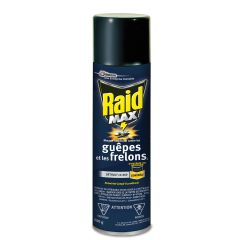 Mousse insecticide contre les guêpes et les frelons Raid MAX, 500 g