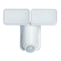 Solar LED security light