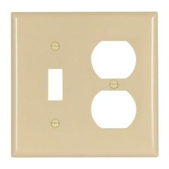 Combination Wallplate - Ivory