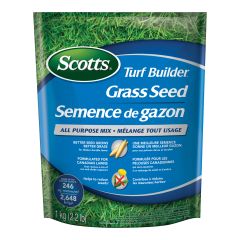 Semence à gazon tout usage, 1 kg