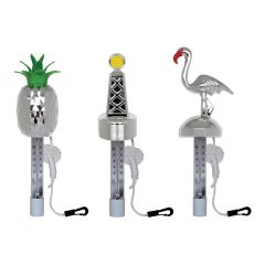 Thermometer kit