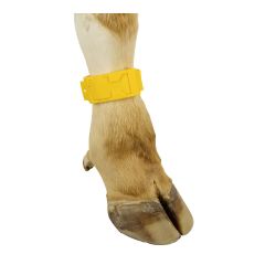 PlastIB marking bracelets for cows - Yellow - 10/Pkg