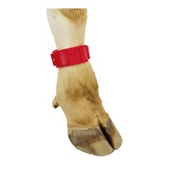 PlastIB marking bracelets for cows - Red - 10/Pkg