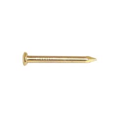 Escutcheon Pin  - Brass - 1/2" - 25/Pkg