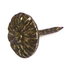 Clou à rosette, laiton antique, 1/2", 30/pqt