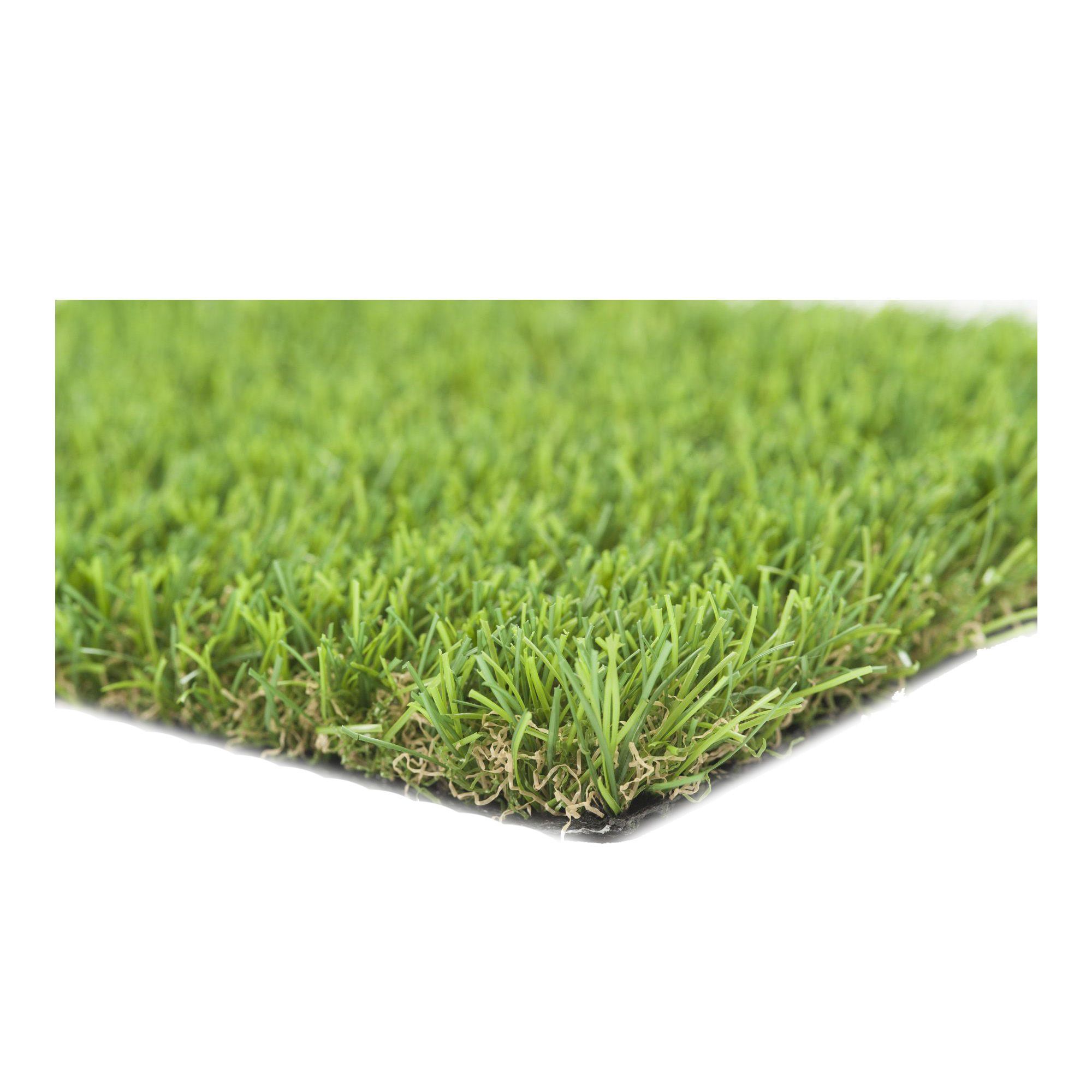 Grotrax Tapis de graines de gazon biodégradable et engrais tout en un, 9,3  m2 de vert toute l'année pour pelouse, aire pour chien et ombre, à rouler