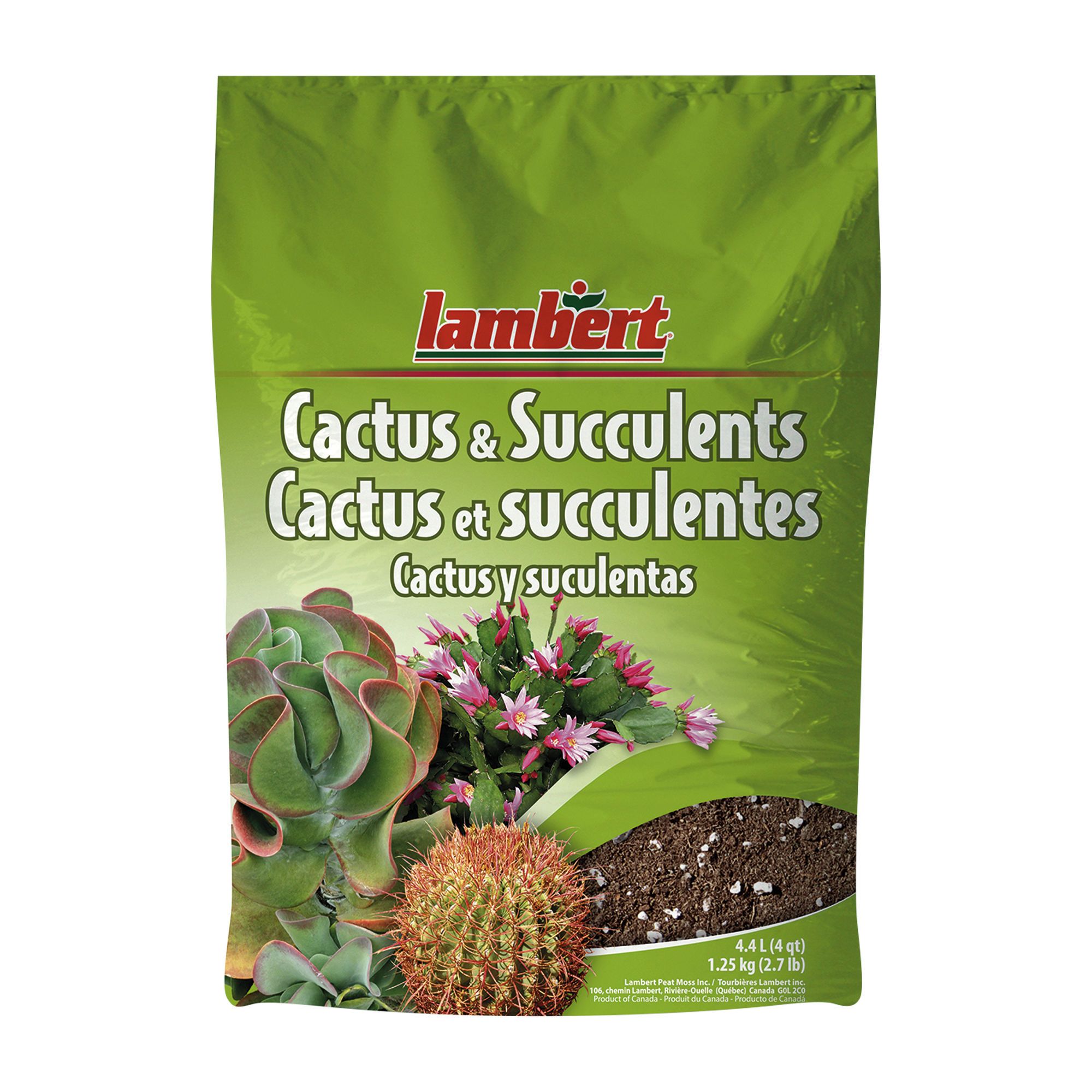 Terreau pour cactus & succulentes (Lambert) – Alma Plantes