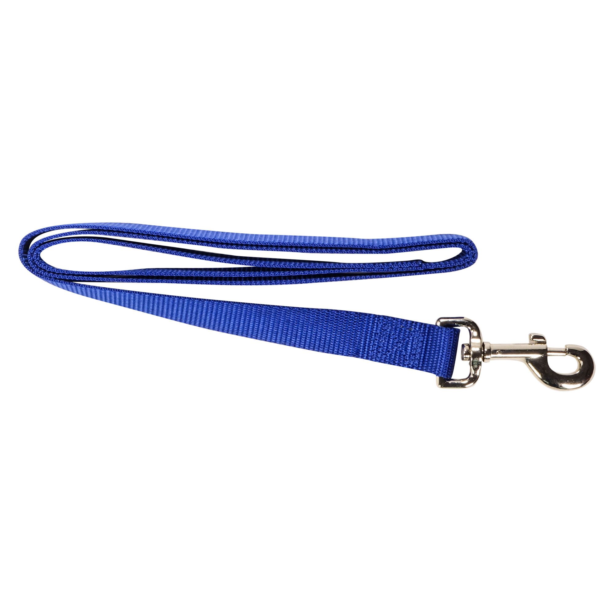 Simple Leash - Blue - 1