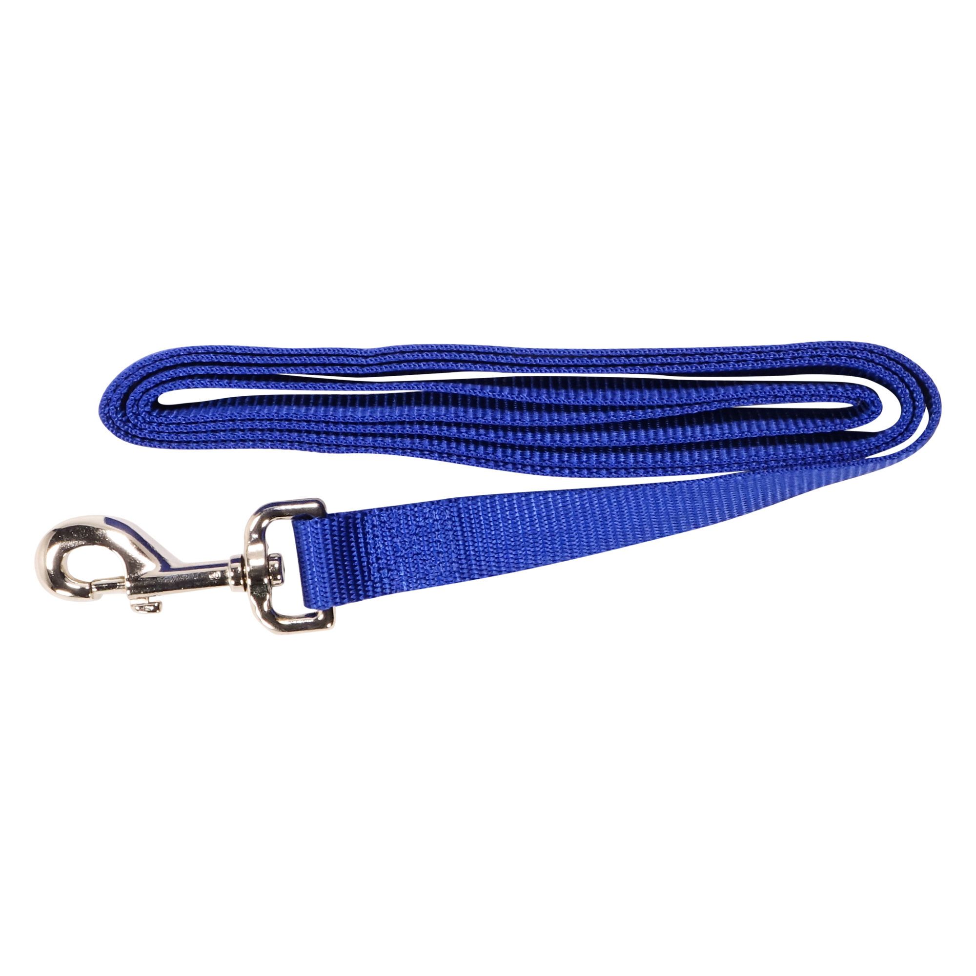 Simple Leash - Blue - 1