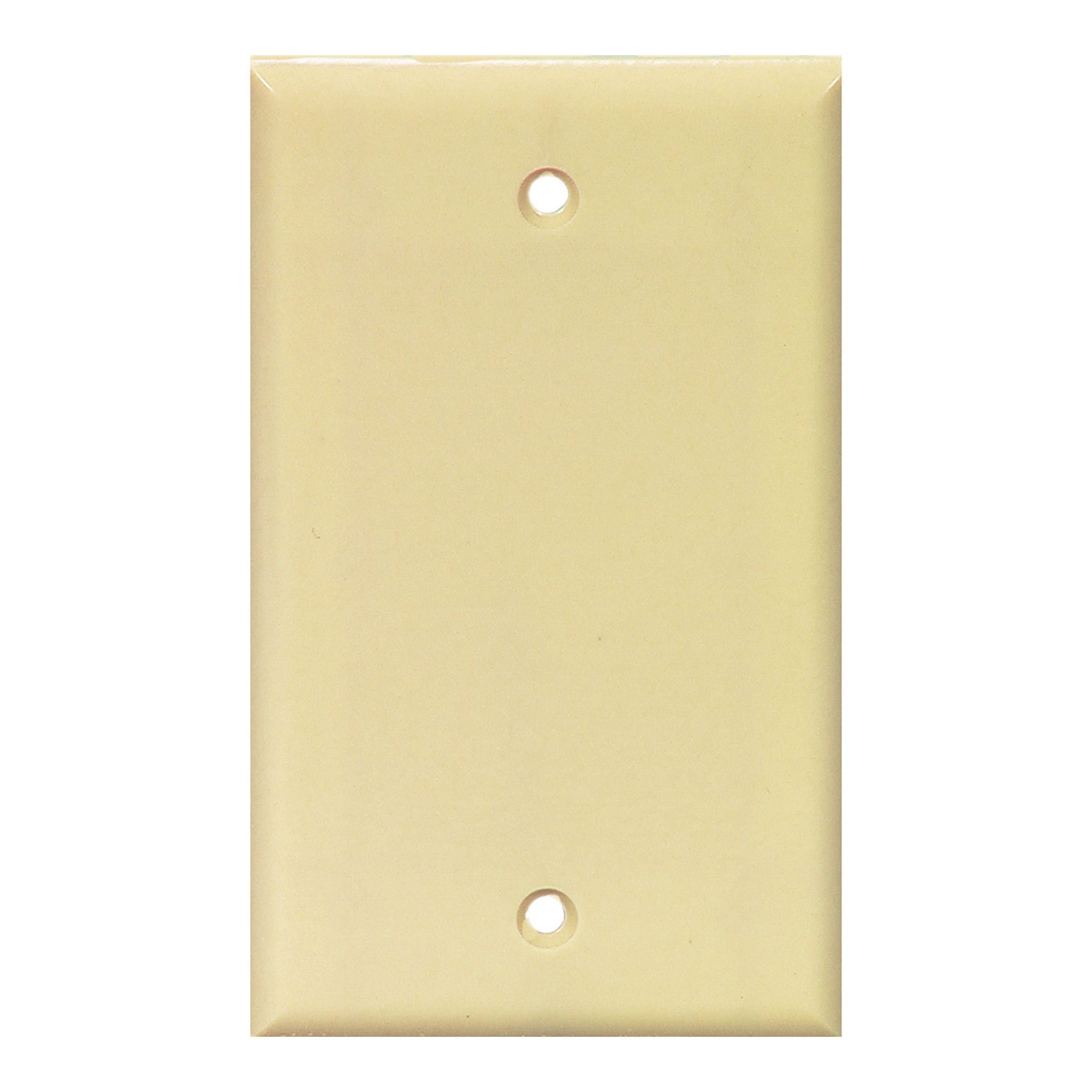 Gang Blank Wallplate from EATON COOPER WIRING | BMR