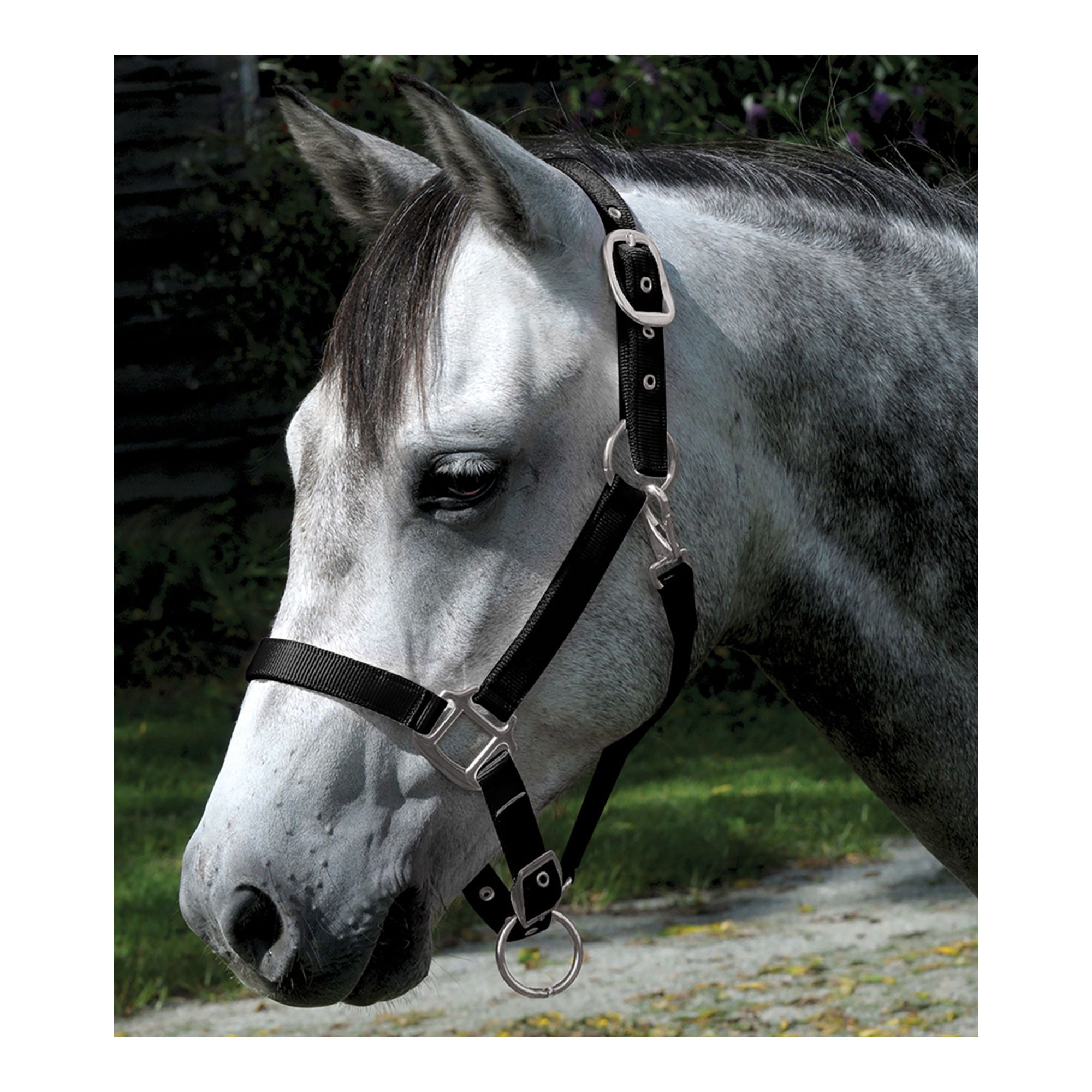 buy nylon leather horse halter