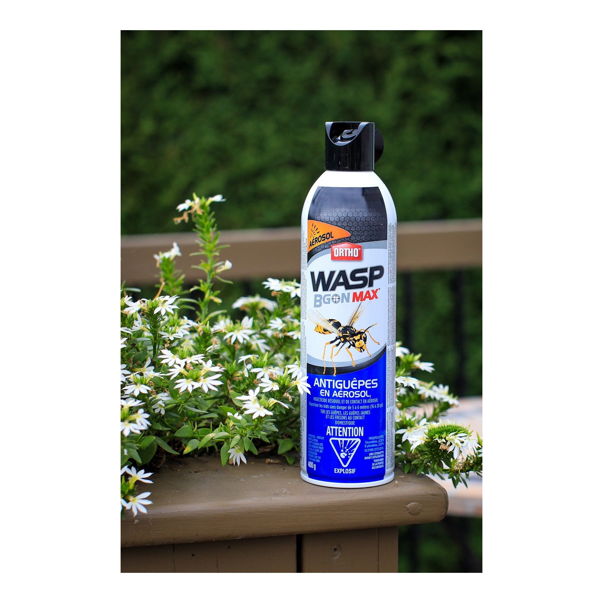 Ortho Wasp B Gon Max Wasp Killer Spray Aerosol From ORTHO | BMR