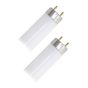 Fluorescent Bulb - T8 - 32 W - 48" - Cold White - 2/Pkg