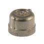 Stainless steel cap