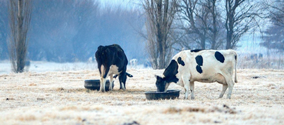 Choisir le bon dégiveur pour vos réservoirs à bétail - Agrizone