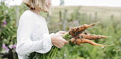 Quoi faire dans le potager en automne