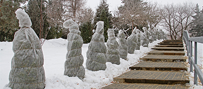 Bien protéger ses plantes et sa pelouse en hiver