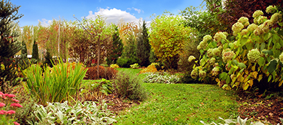 Planter et entretenir ses vivaces à l'automne