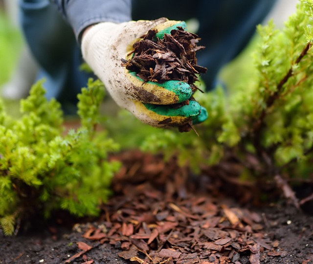 Don't use fertilizer too late in the year