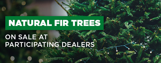 Find a store selling natural Christmas trees