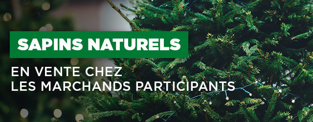 Trouvez un magasin vendant des sapins de Noël naturels - BMR