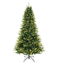 Shop Christmas trees