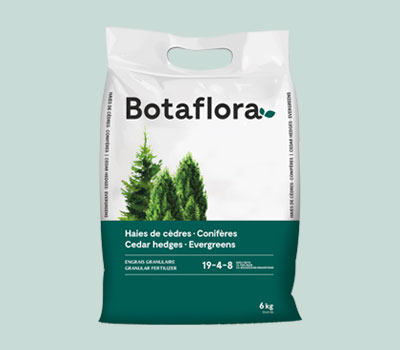 Botaflora 19-4-8 granular fertilizer for cedar hedges and evergreens | BMR