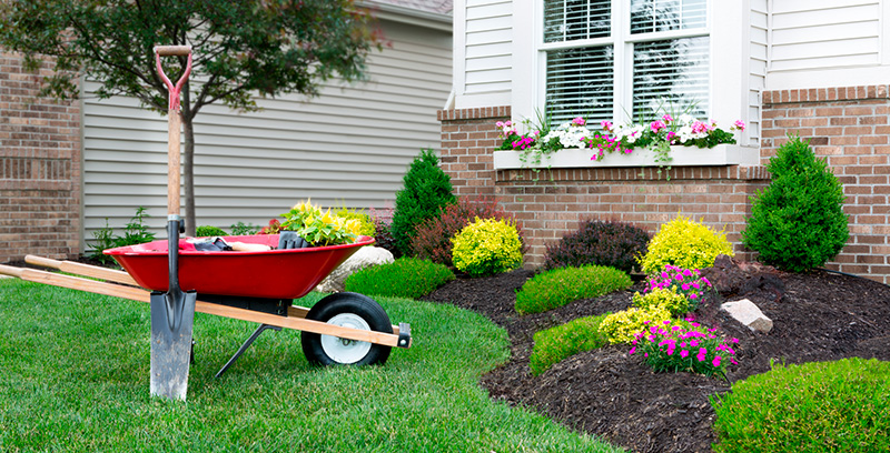 Check out our gardening calendar to plan out all your outdoor tasks.